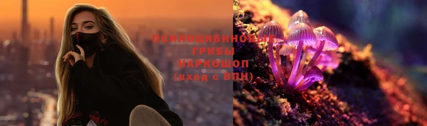 ECSTASY Бронницы