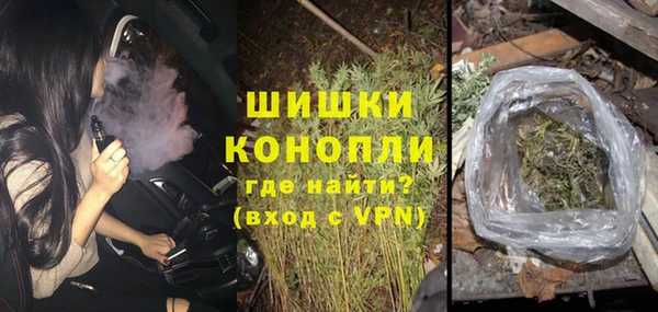 СК Бородино
