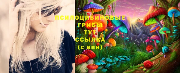 СК Бородино