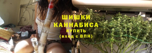 СК Бородино